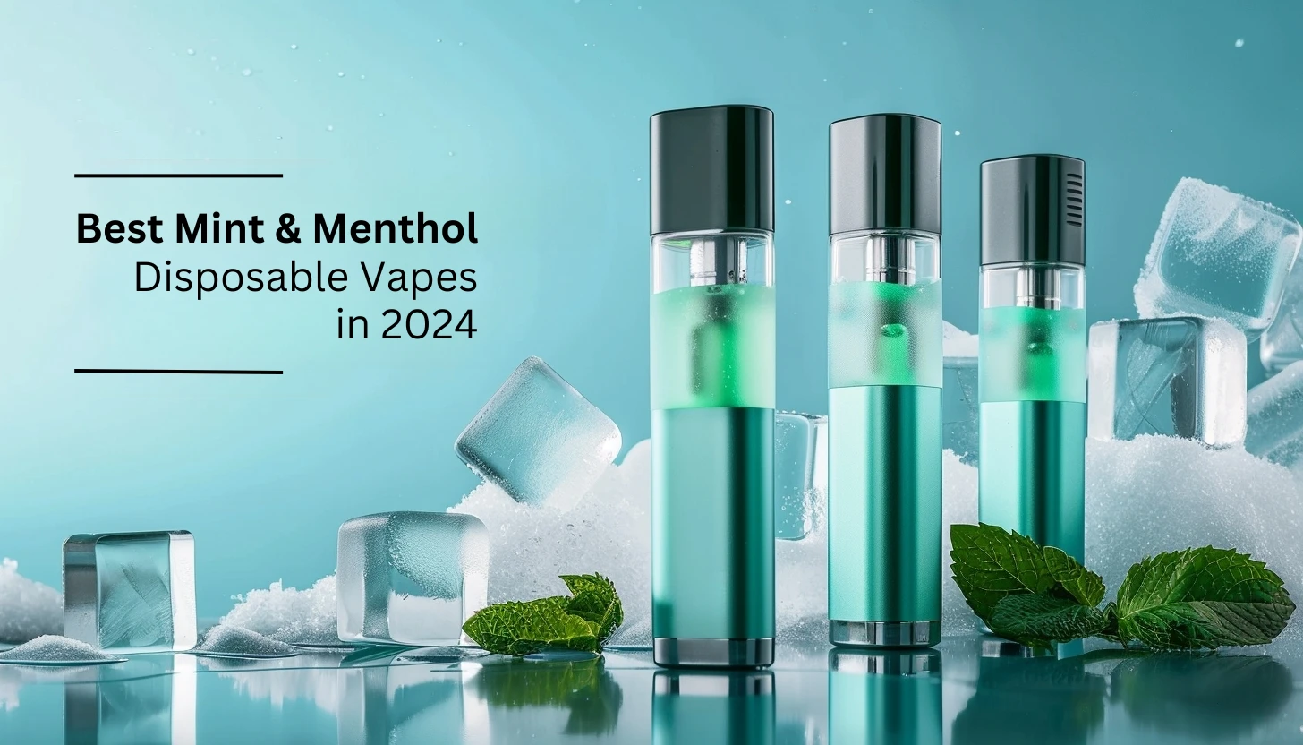 3 Best Mint & Menthol Disposable Vapes in 2024