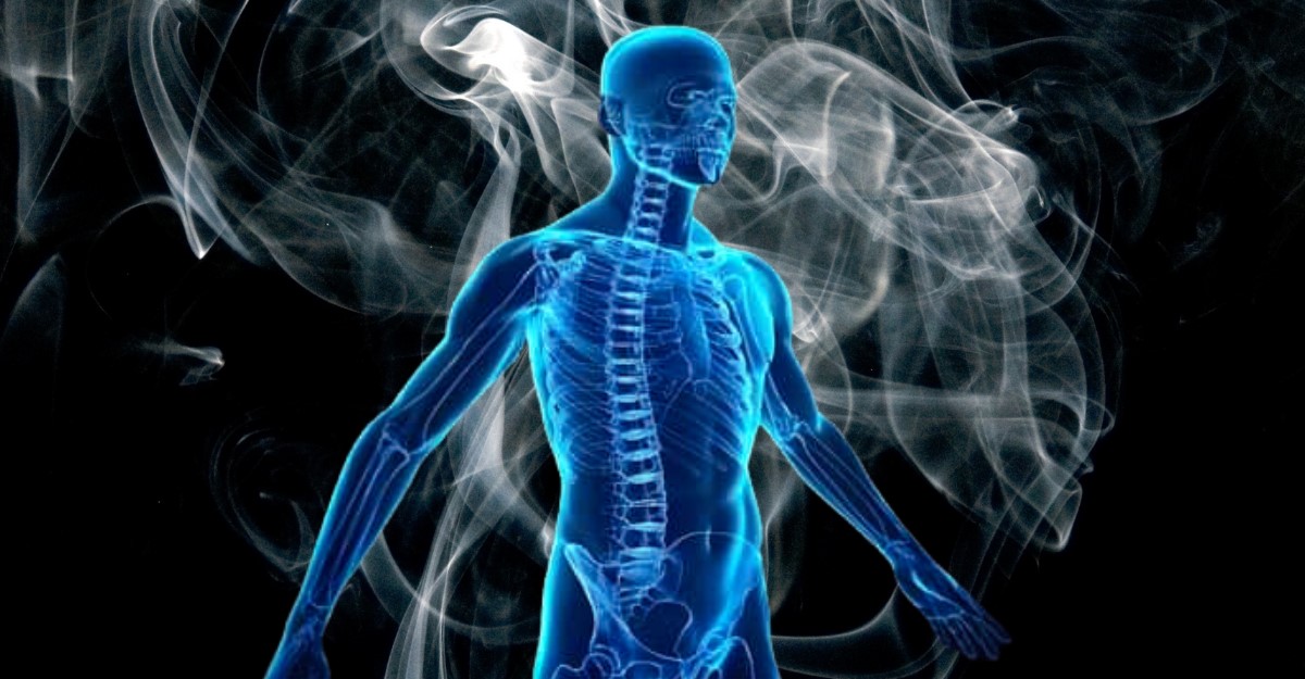 How Long Does Nicotine Stay in Different Parts of the Body.jpg
