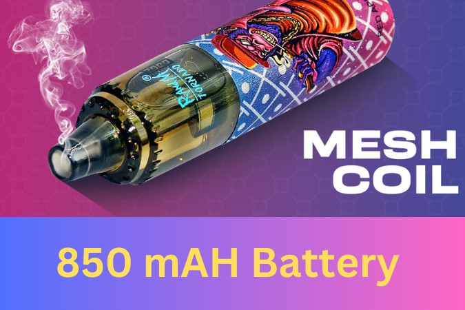 Mesh coil and Battery.jpg