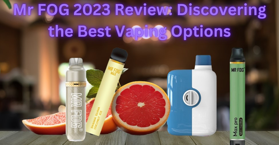 Mr FOG 2023 Review.jpg